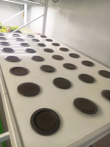 Reinfa giải pháp canh tác aeroponic tăng trưởng chính xác với KiểM Soát Ph & EC cho các loại thảo mộc và Xà Lách lá xanh tinh tế - Product Image 5