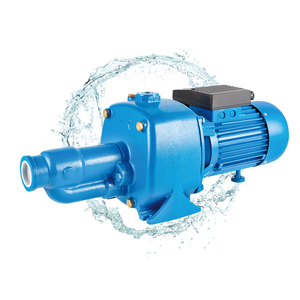Pompe à eau à jet personnalisée CAB 1HP avec impeller en laiton et arbre en acier inoxydable, moteur 12V haute pression, fabrication OEM Chine - Product Image 6
