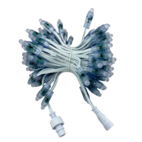 Module de lumière à pixels LED RGB ETOP avec résistance de pigtail, 12 mm, WS2811, 12 V, étanche, pixel à pigtail avec XConnect