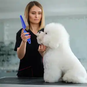 5Pcs Flea Comb Lice Combs Pet Tear Stain Remover Combs Pet Dog Cat Grooming Comb Set