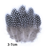 Plumes de faisan naturelles en gros, plumes de paon, petites plumes d'aigle, accessoires d'artisanat, création de bijoux, décoration de fêtes