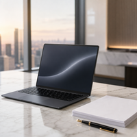 Nouvel ordinateur portable professionnel pour graphistes de 14 pouces, AMD Ryzen 5 5500U, 16 Go de RAM, 512 Go de SSD, Windows 11 Business