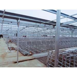 <span class=keywords><strong>Precio</strong></span> directo <span class=keywords><strong>de</strong></span> fábrica, bajo costo, estructura <span class=keywords><strong>de</strong></span> acero prefabricada moderna, oveja, cabra, granja, Granero, casa, cobertizo para vacas lecheras, edificio para granja <span class=keywords><strong>de</strong></span> ganado - Product Image 6