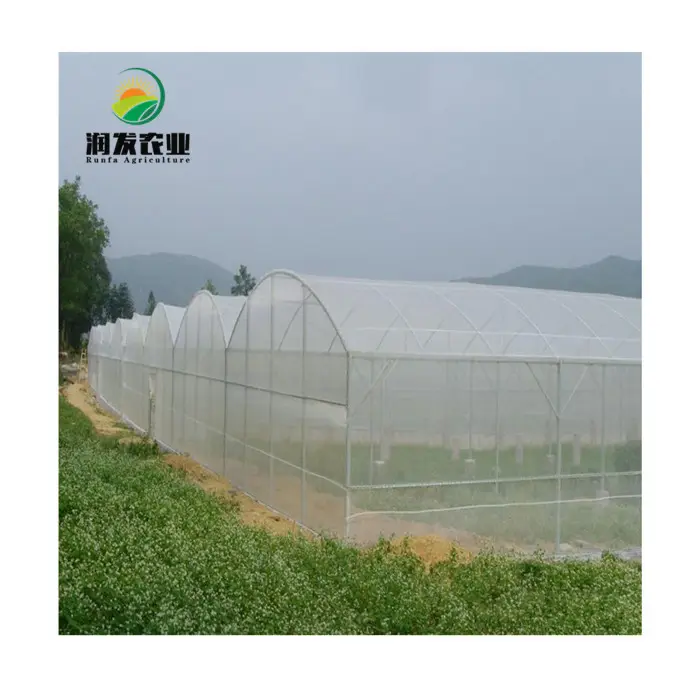 Anti Aphid Greenhouse Pest Screen Net Fiberglass Insect Proof Mesh Green House