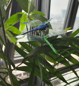 Libellula palo colorato da giardino pali per interni arredamento esterno - Product Image 6