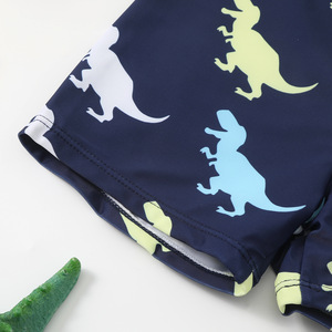Costume da Bagno per Bambini Piccoli, Abbigliamento da Nuoto per Bambini e Bambine, Top a Maniche Lunghe con Cartoni Animati di Dinosauri, Pantaloncini a Righe per Spiaggia e Piscina - Product Image 3