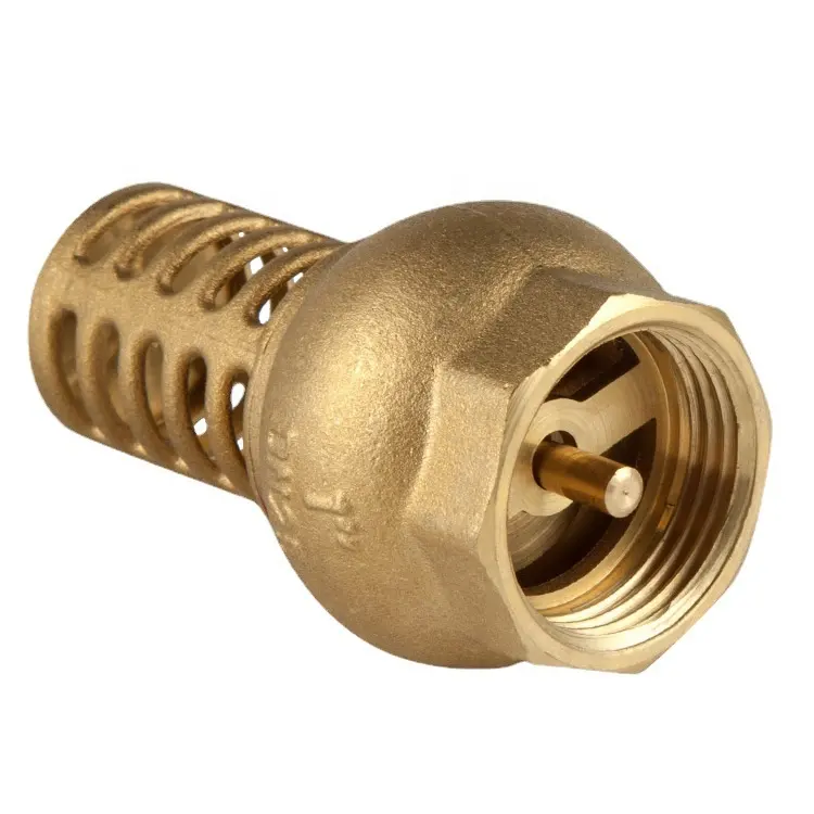 Lirlee Brass Giả Mạo Chân Dưới Van 1/2 3/4 1 Inch Kép Nặng Trọng Lượng Thủy Lợi Máy Bơm Nước Brass Lọc Chân Van