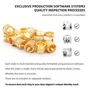 منتجات حيوانات أليفة أخرى حلقة حمامة مرقمة حسب الطلب حلقة ذهبية 8 * * * * - Product Image 4