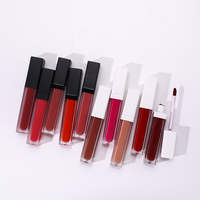 Marque privée 12 couleurs brillant à lèvres brillant brillant à lèvres hydratant paillettes 20 couleurs maquillage longue durée mat liquide rouge à lèvres