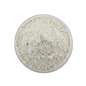 Poudre de Kyanite 325 mesh Al2O3>56% pour revêtements réfractaires et applications en fonderie <span class=keywords><strong>céramique</strong></span> - Product Image 1