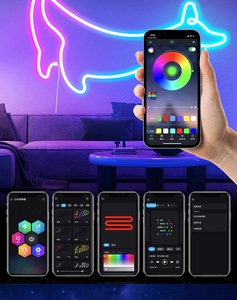 24V thông minh ma thuật địa chỉ tm1914 IC Neon IP65 linh hoạt RGB 5050 Giấc Mơ Màu tira Luces Silicone Đèn <span class=keywords><strong>LED</strong></span> chiếu sáng dải - Product Image 1