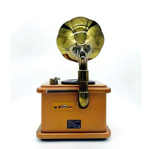 Radio portable rétro de luxe, design de lecteur de vinyle, Bluetooth sans fil, <span class=keywords><strong>FM</strong></span>/AM/SW, lecture USB/TF, grande boîte à musique rechargeable en métal - Product Image 3