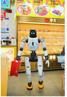 Robot humanoïde bipède ultra-compact AgiBots X2 X2, 25-30 degrés de liberté, couple de pointe 120 N-m, batterie interchangeable, SDK AimDK ouvert, en stock