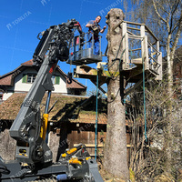 Grue araignée télescopique 3 tonnes, grue araignée télécommandée 5 tonnes 8 tonnes avec flèche de déplacement