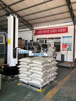 Le robot de palettisation à colonne autonome palettise les besoins en palettes pour sacs, cartons, barils et autres produits.