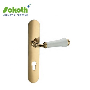 Mô Hình Phổ Biến Châu Âu Của Pvd Hợp Kim Kẽm Khóa Cửa Xử Lý - Product Image 2