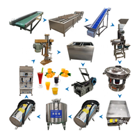 Hoge Automatisering Appelsap Productielijn/Mango Sap Productielijn/Vruchtensap Maken Machine