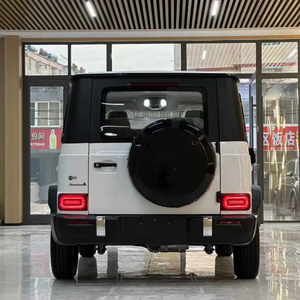 Nouveau modèle de voiture électrique tout-terrain, véhicule à énergie nouvelle, SUV 5 portes 5 places 100% électrique, batterie lithium, voitures électriques - Product Image 5