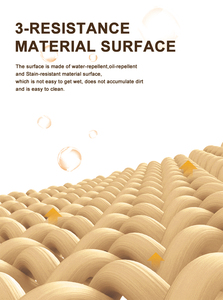 Tappeti antiscivolo con superficie lavabile spessa <span class=keywords><strong>per</strong></span> la <span class=keywords><strong>casa</strong></span> antiscivolo in stile moderno tappetino d'ingresso <span class=keywords><strong>di</strong></span> alta qualità - Product Image 4