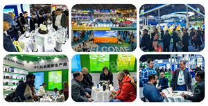 Phosphite de <span class=keywords><strong>potassium</strong></span>, <span class=keywords><strong>engrais</strong></span> hydrosoluble <span class=keywords><strong>riche</strong></span> <span class=keywords><strong>en</strong></span> <span class=keywords><strong>phosphore</strong></span> <span class=keywords><strong>et</strong></span> <span class=keywords><strong>en</strong></span> <span class=keywords><strong>potassium</strong></span>, macronutriments essentiels - Product Image 5