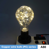 PC et ampoule en fil de cuivre A80 2.4m24 lumières produites lumières de noël et lumières festives KTV KH-DXSL-A80