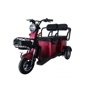Asientos de gran tamaño para dos personas, cesta de cubo grande, carro de almacenamiento, movimiento, bicicleta de compras, triciclos eléctricos de viaje, scooter de tres ruedas - Product Image 4