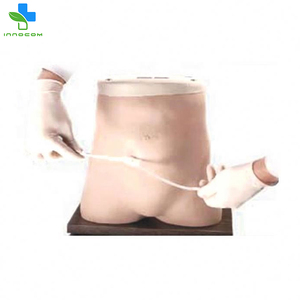 Modelo de simulador de cavidad de diálisis peritoneal de maniquí médico de enseñanza humana para educación y entrenamiento ambulatorio continuo - Product Image 4
