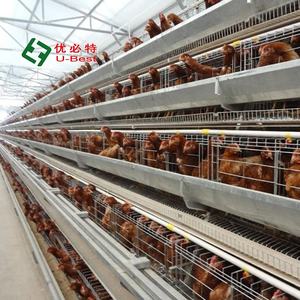 Prix Avantageux Système d'Élevage Cages de Poules Pondeuses Équipement Avicole pour Ferme de Poulets - Product Image 1