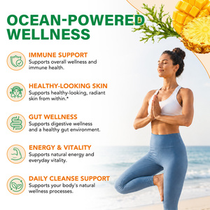 SOLOTREE Compléments Alimentaires Super-Nutritifs de l'Océan Riches en Minéraux Gel Soutien Digestif Immunitaire Énergie Peau Éclatante Gel Naturel de Mousse de Mer - Product Image 3