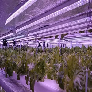 室内handybrite led T8 uv航空电子学植物生产蔬菜生长灯led商业温室生菜种植阳光
