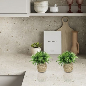 Palma di Cocco Artificiale Realistica con <span class=keywords><strong>Vaso</strong></span> - Mini Pianta di Palma in <span class=keywords><strong>Vaso</strong></span>, Finta Palma di Cocco per Decorazione <span class=keywords><strong>da</strong></span> Tavolo Interna - Product Image 3