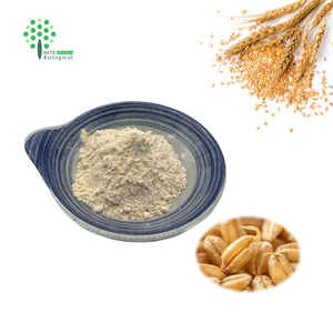 Extracto <span class=keywords><strong>de</strong></span> Germen <span class=keywords><strong>de</strong></span> <span class=keywords><strong>Trigo</strong></span> en Polvo con 1% <span class=keywords><strong>de</strong></span> Espermidina - Product Image 3