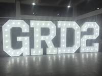 Lettre lumineuse en acier inoxydable haut de gamme pour les fêtes de mariage, décorations de bar personnalisables