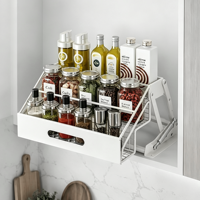 Étagère à Épices Pliable Moderne pour Armoire de Cuisine, Organisateur de Tiroir à Épices Robuste en Acier Carbone pour Rangement de Garde-Manger de Cuisine OEM