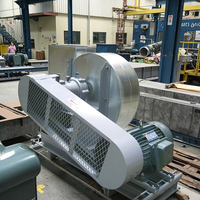 Ventilateur centrifuge à haute température pour la ventilation industrielle, en acier inoxydable, souffleur d'air chaud, ventilateurs à tirage forcé pour chaudière
