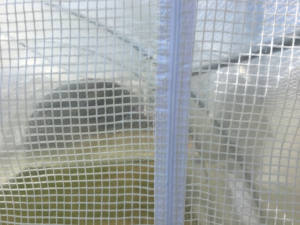 <span class=keywords><strong>Serre</strong></span> de jardin tunnel commercial toutes saisons 6x3x2m - Product Image 3