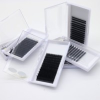 Extensions de cils en gros, cils volumineux, cils noirs mats, cils en velours, extensions de cils individuelles 8-15 mm