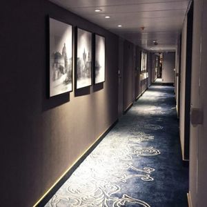 Moquette di Lusso Axminster di Alta Qualità Posa da Parete a Parete per Hotel Aree Pubbliche Location Casinò <span class=keywords><strong>Sala</strong></span> da Ballo Banchetti <span class=keywords><strong>Sala</strong></span> Matrimoni Belgio - Product Image 5