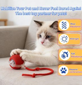 Balle interactive électrique intelligente pour chat, avec appels d'oiseaux, jouet roulant pour animaux de compagnie, jouets de mouvement interactifs pour animaux, en promotion - Product Image 4