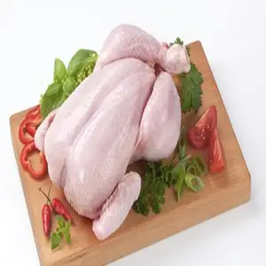 Sapore di olio di pollo deliziosa vendita calda utilizzata per prodotti da forno di buona qualità