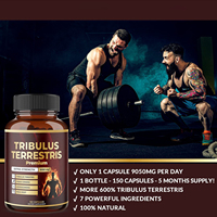 Compléments alimentaires pour adultes OEM, amélioration de la performance masculine, booster d'énergie, capsules de Maca, Tongkat Ali, Tribulus Terrestris