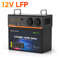 Batterie liquide LiFePO4 Delong LFP12100 12V 100AH-200AH rechargeable prismatique avec BMS, UPS portable, boîtier ABS+PC, certifiée CE 4000