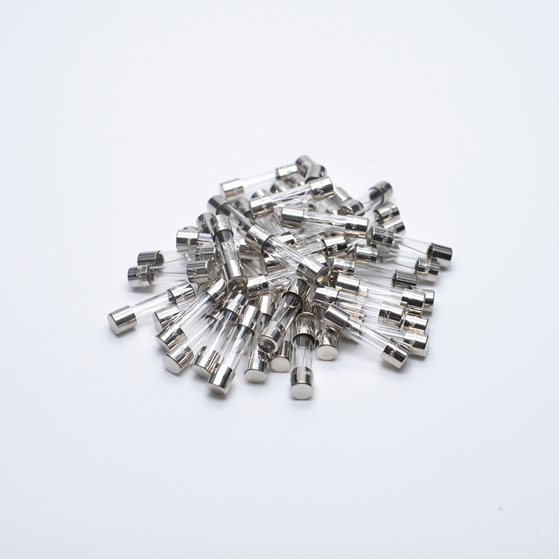 250V 100mA BK/S506-100-R время задержки, плавкий предохранитель