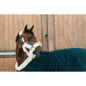 بساط ورقة حصان مستقر دائم غطاء الاقبال من الشركة المصنعة مباشرة حار بيع الفساتين ركوب بطانية - Product Image 6