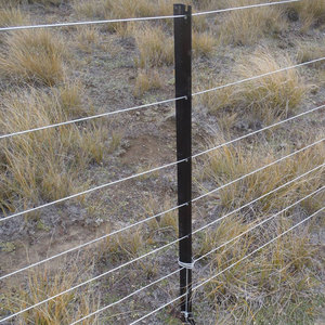 Poteau Y de clôture Y / t Poteau pour fil de fer <span class=keywords><strong>barbelé</strong></span> à vendre - Product Image 4
