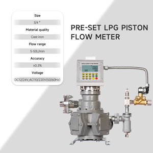Портативный промышленный/коммерческий комплект насоса <span class=keywords><strong>LPG</strong></span> предохранительный клапан DC12V DC24V AC220V напряжения для заправки бензинового оборудования - Product Image 2