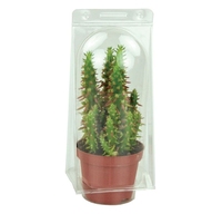 Emballage en plastique transparent personnalisé pour plantes, fleurs, semis, boîte de transport pour plantes et fleurs