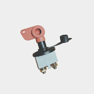 Botón de Encendido Lyh Jk802 C 507dz97189763039 para Tyrannosaurus Rex 507, Repuesto - Product Image 2