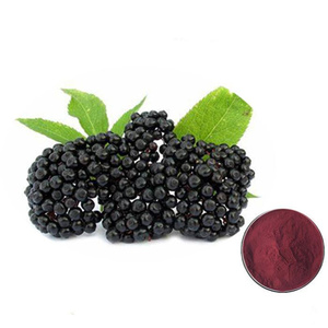 จัดหาธรรมชาติ <span class=keywords><strong>Sambucol</strong></span> Sambucus Nigra สีดำสารสกัดจาก Elderberry ผง1% Anthocyanins สีดำสารสกัดจาก Elderberry - Product Image 3