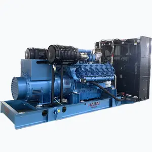 800 kW Industrieabfallgasgenerator 500 kva Dieselgenerator 1000 kW Biogasanlage 2mw